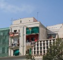 IMG_1778